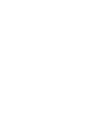 Hummingbird Icon